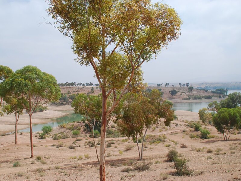 Désert d'Agafay, Lac Lalla Takerkoust & Atlas